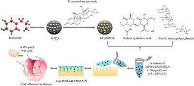 Microneedle patches containing mesoporous polydopamine nanoparticles loaded with triamcinolone acetonide for the treatment of oral mucositis